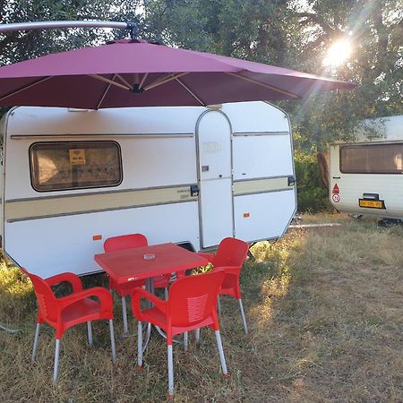 Aquariumi Jale Camping Εξωτερικό φωτογραφία